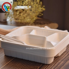 wholesale  Biodegradable four-compartment lunch box
